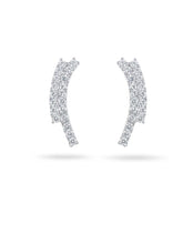 Clustered Arc Ear Climbers