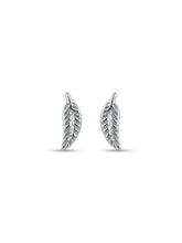 Etched Botanical Leaf Stud Earrings